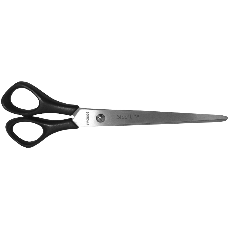 Канцелярські ножиці ECONOMIX (E40413)